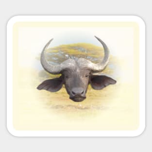 African buffalo Sticker